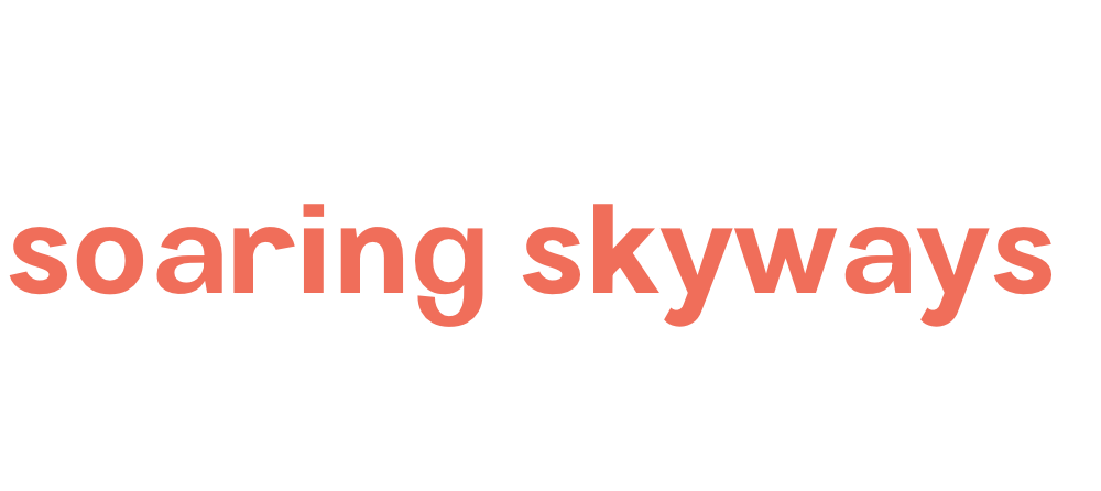 Soaring Skyways