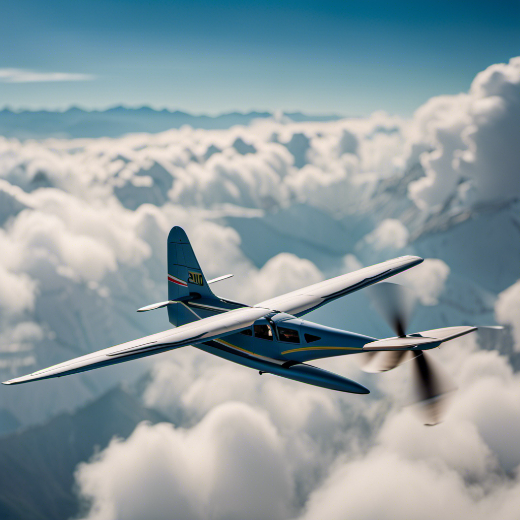 An image capturing the diverse world of glider planes, showcasing their distinct features and designs
