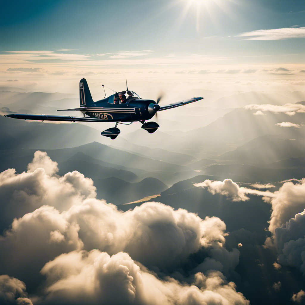 An image that captures the exhilarating journey of obtaining a pilot's license