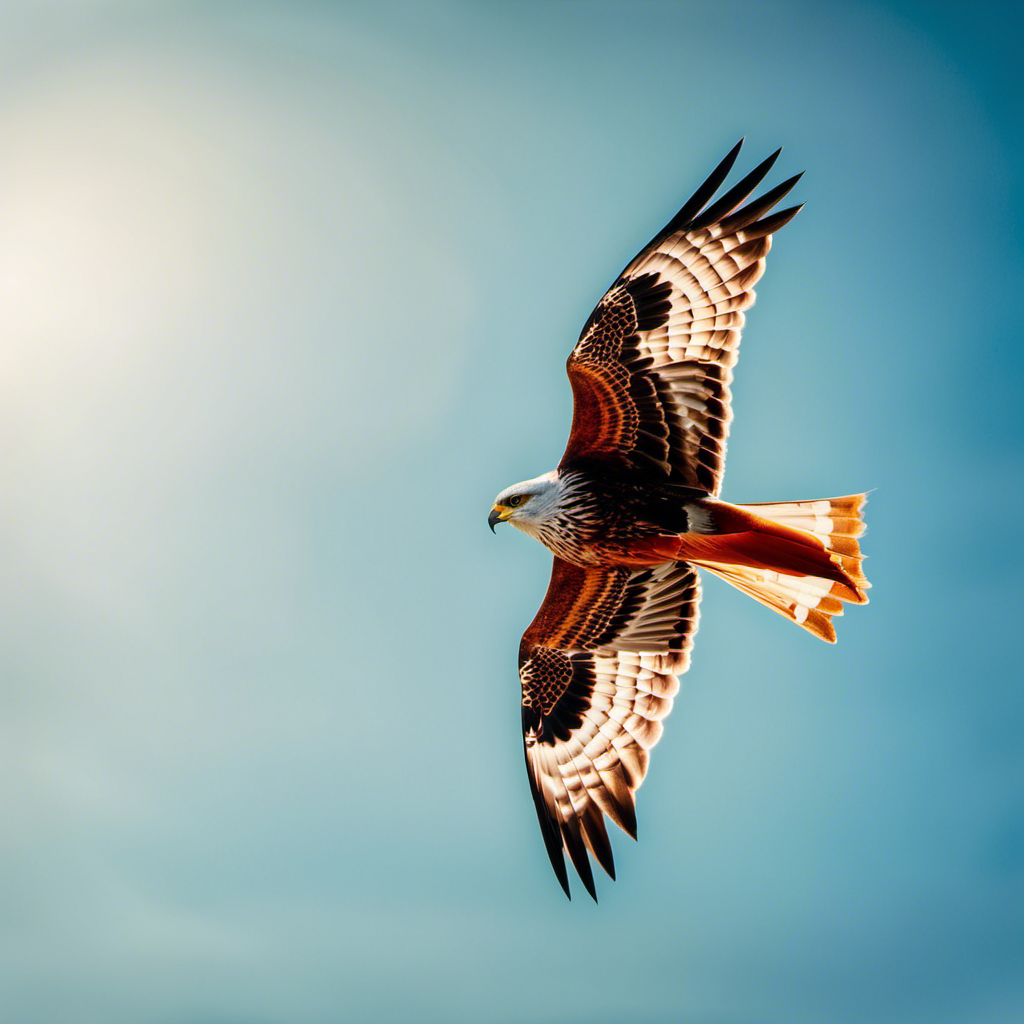 An image of a vibrant red kite soaring gracefully through a clear blue sky, its long tail billowing behind, as a gust of wind propels it effortlessly higher, challenging the notion of whether one can truly glide in wind