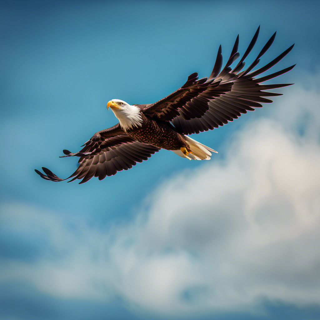 An image of a majestic eagle soaring effortlessly through a clear blue sky, its outstretched wings displaying a vivid plumage