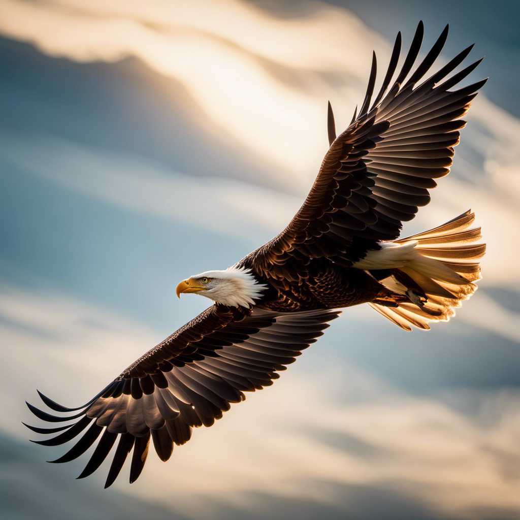 An image showing a majestic eagle gliding gracefully through the sunlit sky, its outstretched wings capturing the wind currents