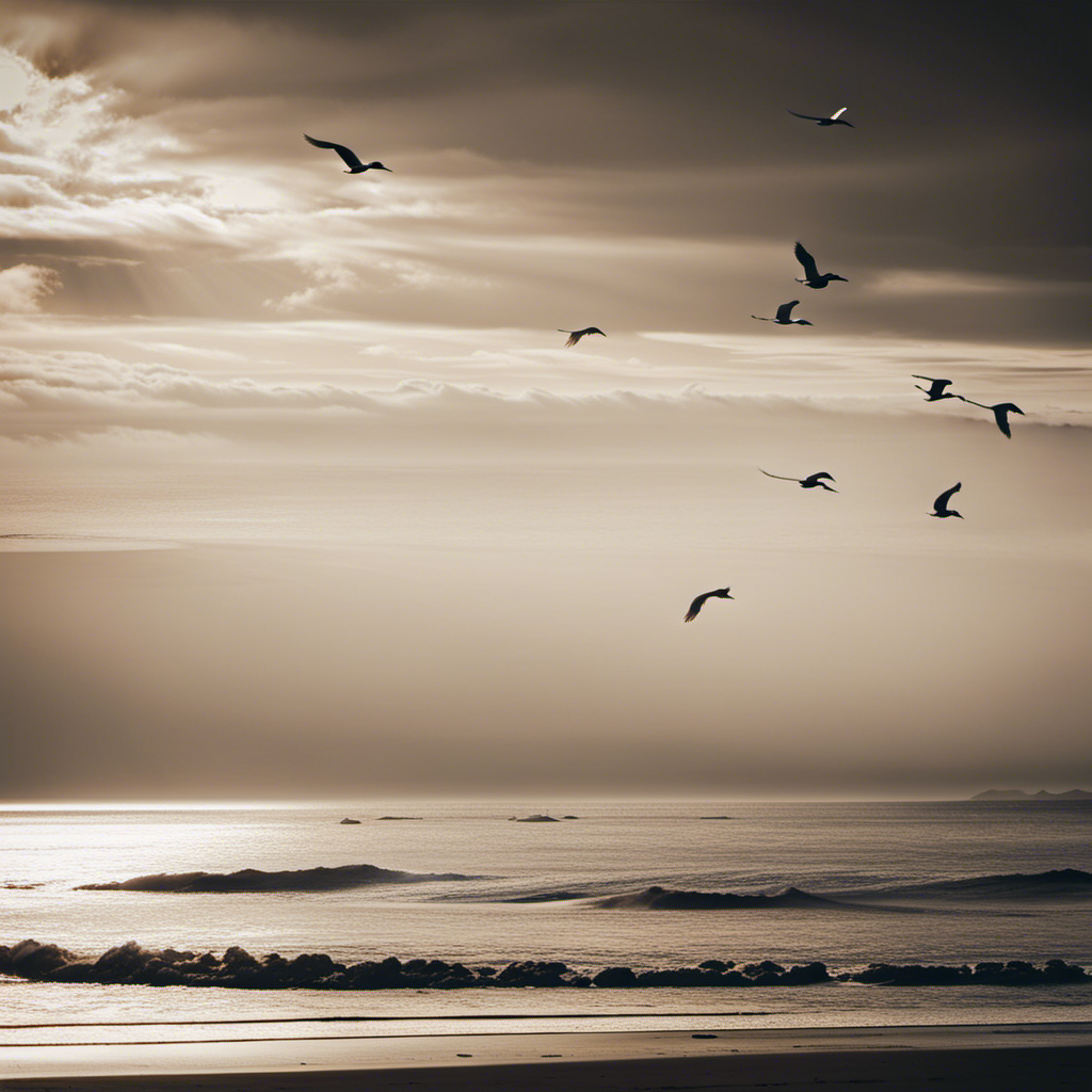 An image depicting a serene beach with birds soaring effortlessly in the sky, as a gentle sea breeze kisses the coastline