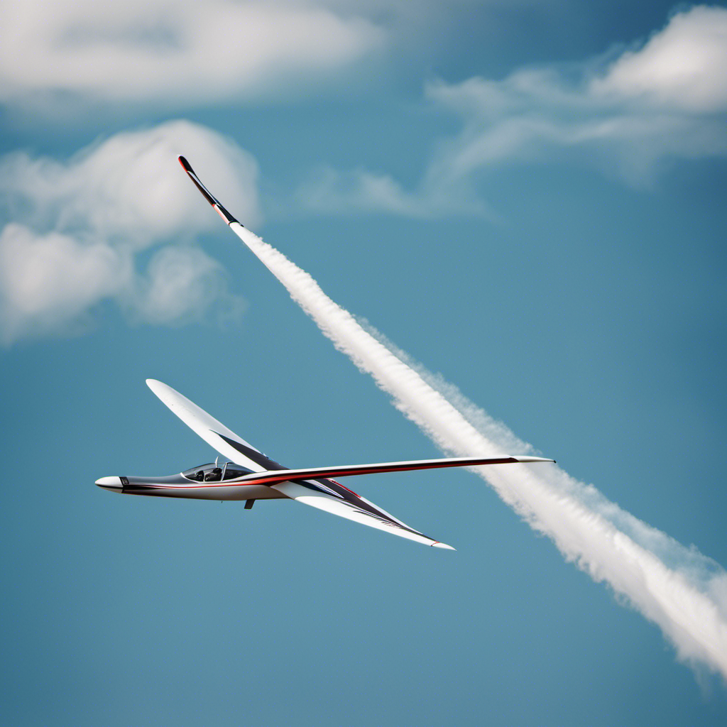An image showcasing a sleek, lightweight glider soaring through the clear blue sky, effortlessly maneuvering with its slender wings, contrasted with a powerful sailplane, displaying its robust frame and extended wingspan