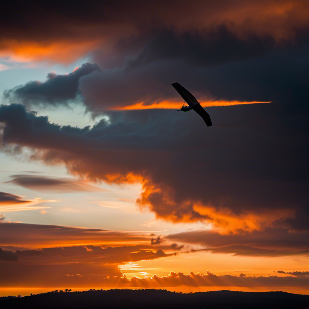 An image that captures the contrasting essence of gliding flying: a lone glider soaring effortlessly through a vivid orange sunset, juxtaposed against a shadowy silhouette of a stormy sky, symbolizing the ultimate freedom and the inherent risks of this adrenaline-fueled hobby