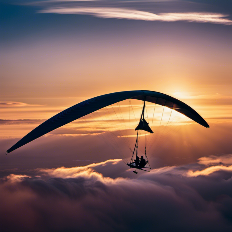 Hang Gliders What They Cost And Why Soaring Skyways