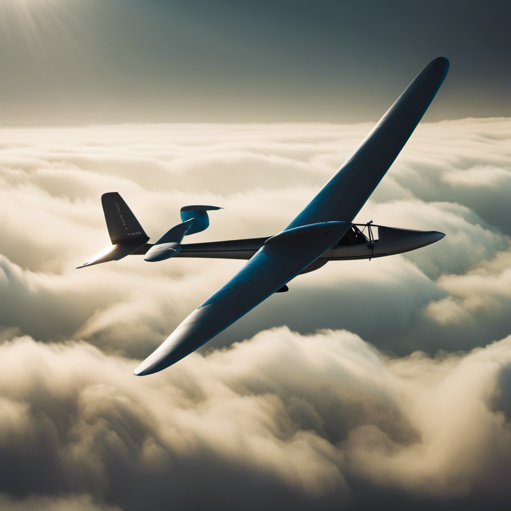 An image showcasing a graceful glider soaring through the sky, its wings elegantly contoured to catch the wind, while its pilot skillfully maneuvers the controls, showcasing the art and science of gliding