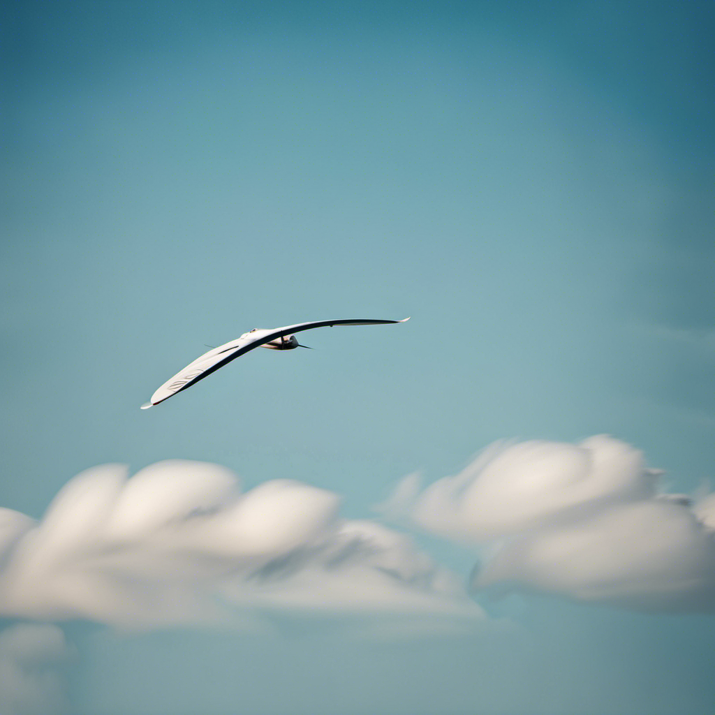 An image that showcases a graceful glider soaring through a clear blue sky, its sleek wings outstretched, while a gentle breeze lifts it effortlessly, capturing the essence of how gliders take flight
