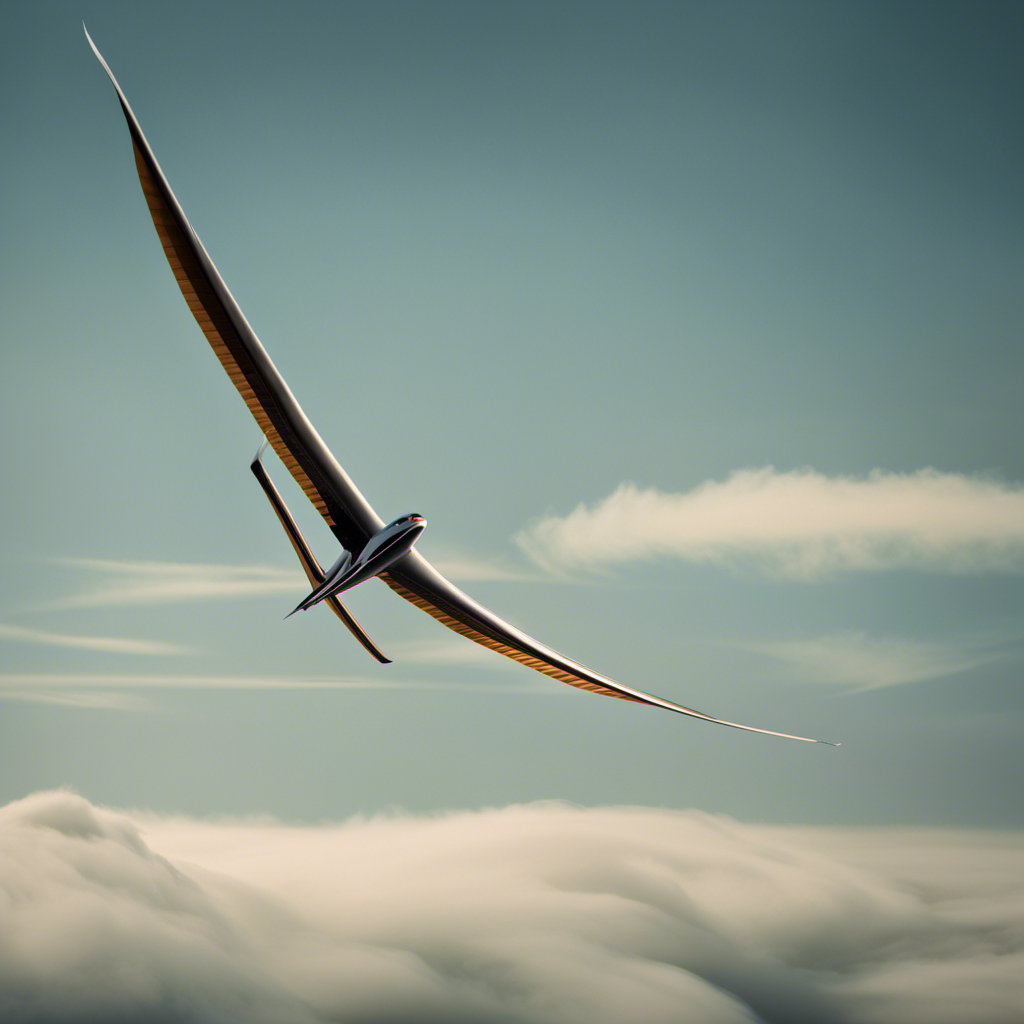An image showcasing a glider soaring gracefully through the air, with its wings curved upwards, defying gravity