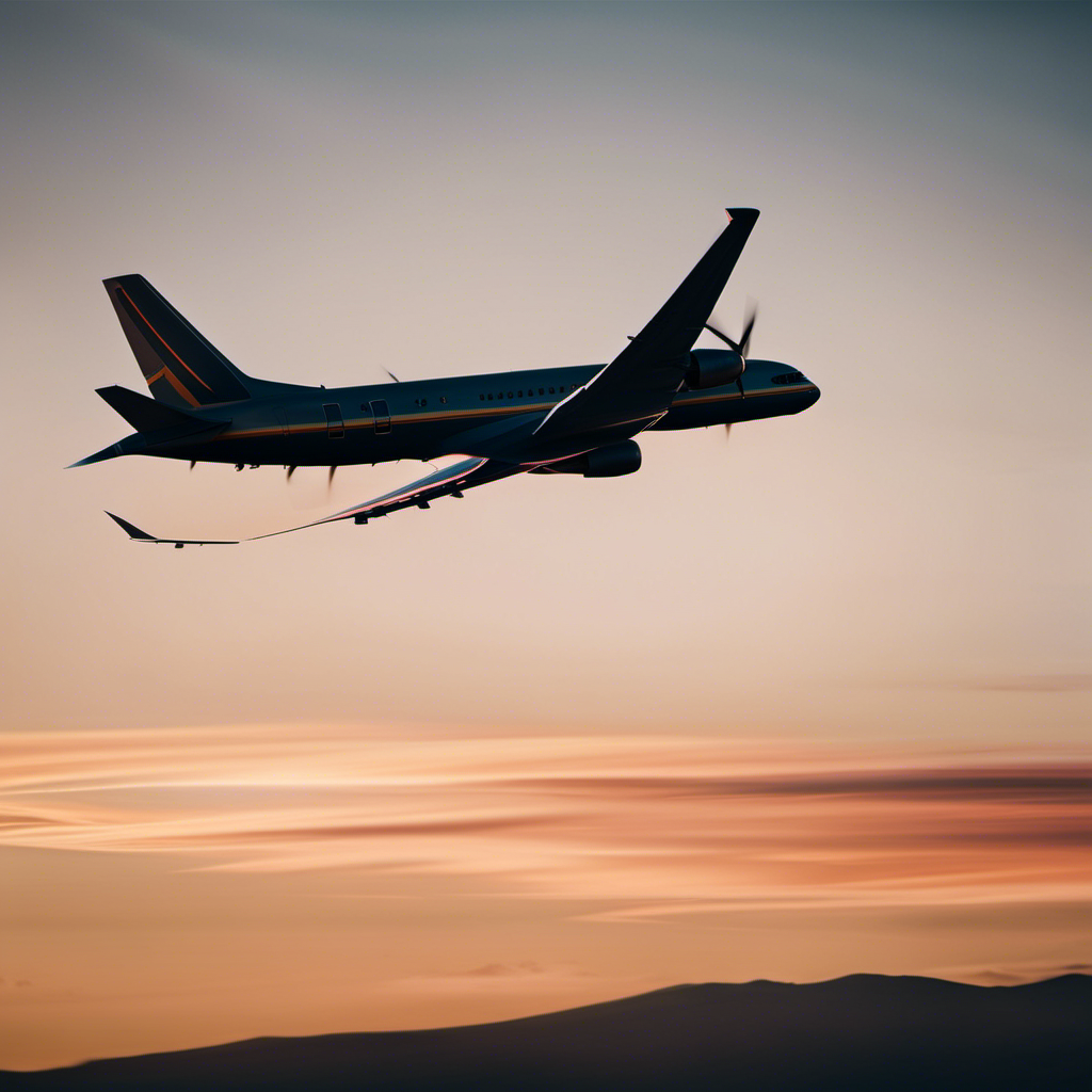 An image showcasing a serene sunset horizon, with a gliding plane gracefully suspended in the sky
