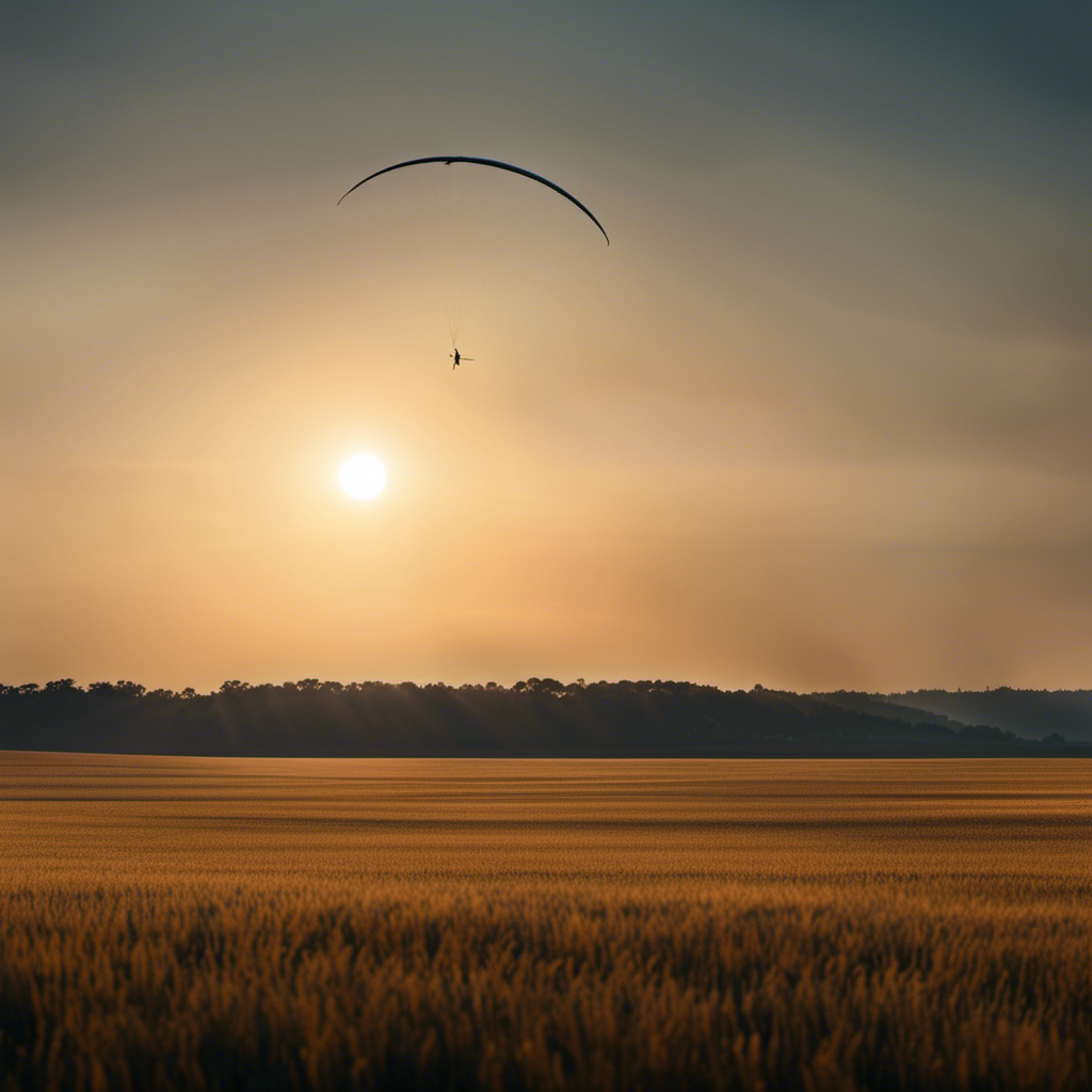 An image of a sun-kissed horizon stretching over a vast open field, with a solitary glider soaring high above