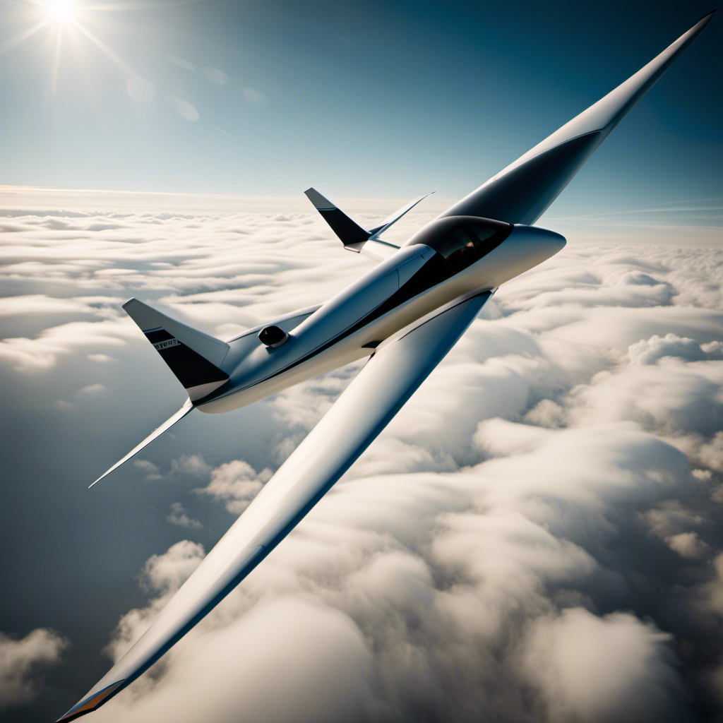 An image that captures the essence of gliders' speed, debunking misconceptions