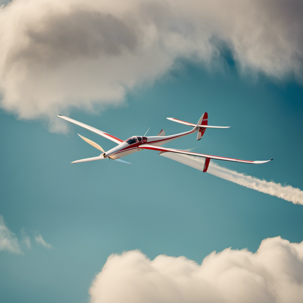 An image showcasing a diverse collection of gliders, featuring sleek sailplanes soaring through clear blue skies, nimble hand-launched models performing acrobatic maneuvers, and robust motorized gliders gracefully skimming over picturesque landscapes
