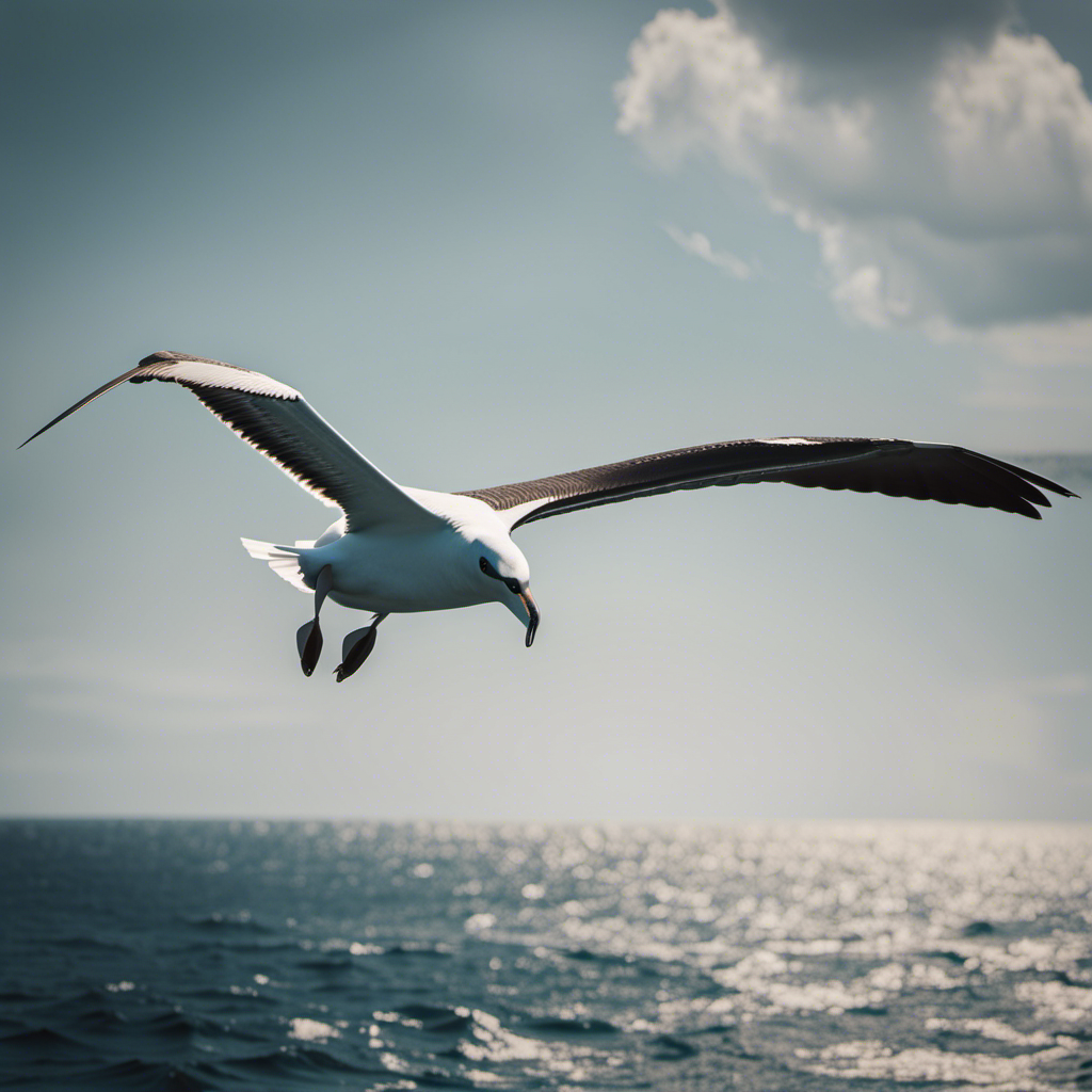 An image showcasing a majestic albatross gliding effortlessly over a vast expanse of ocean, its expansive wingspan fully extended, capturing the serene beauty of dynamic soaring flight