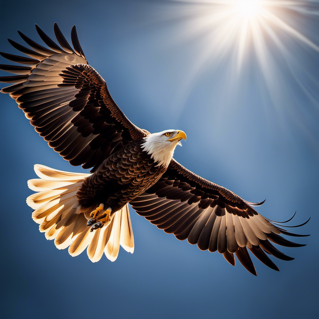 An image of a majestic eagle soaring high in the sky, with its wings outstretched and sunlight gleaming through its feathers