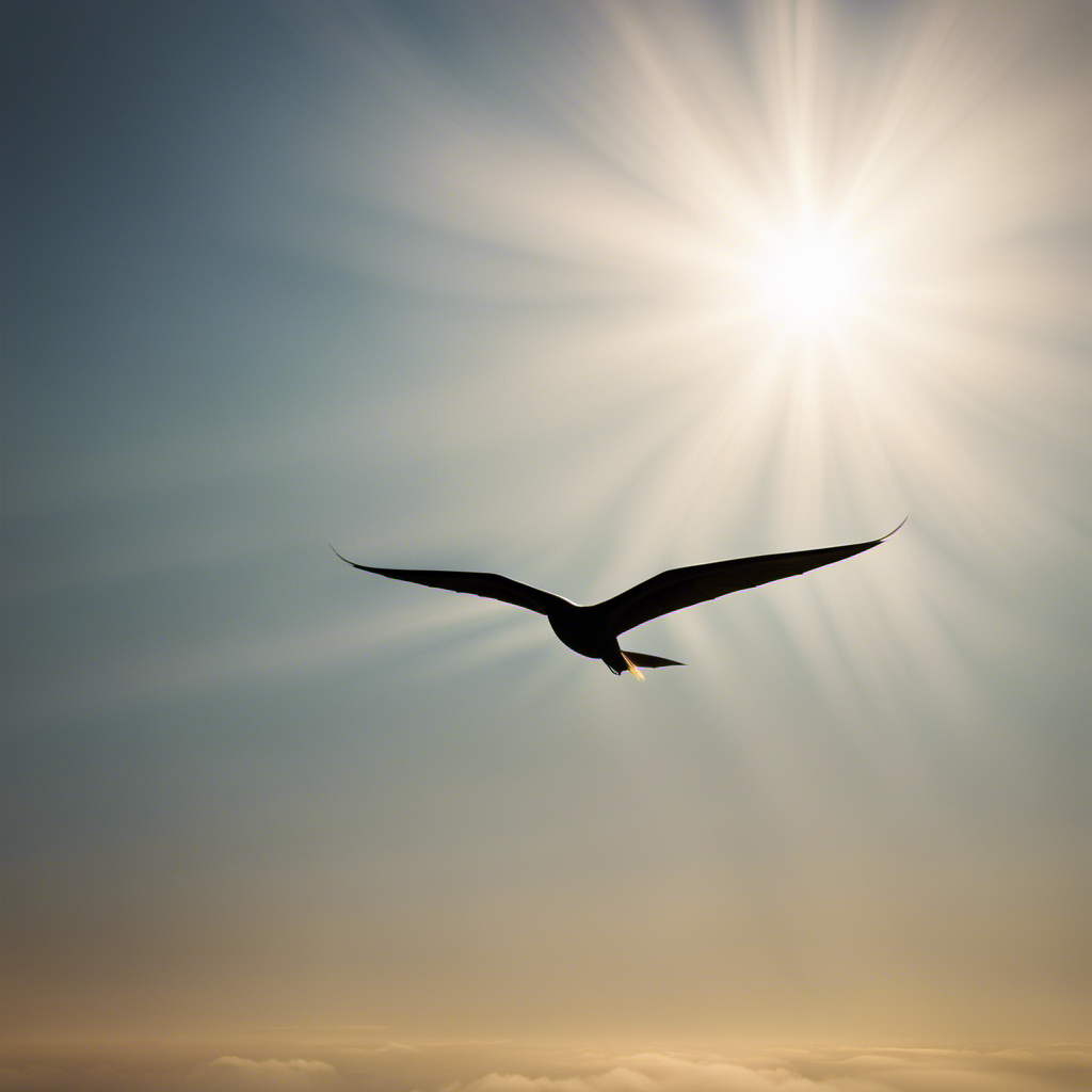 An image capturing the graceful silhouette of a glider soaring through the sky, its slender wings outstretched like a bird in flight, while the sun's golden rays illuminate its streamlined body