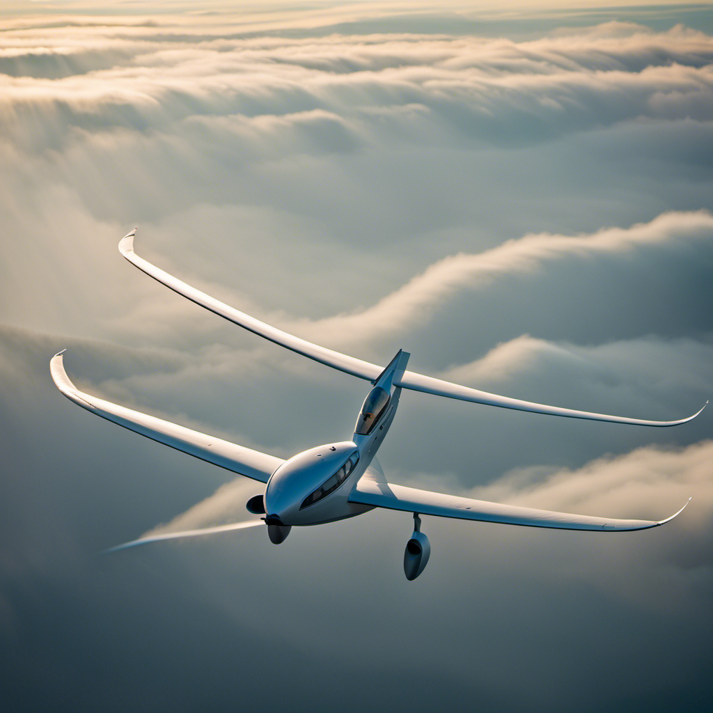 An image of a glider soaring through the sky, showcasing two distinct wing shapes - one with a long, slender profile and gentle curvature, and the other with a shorter, wider span and pronounced camber