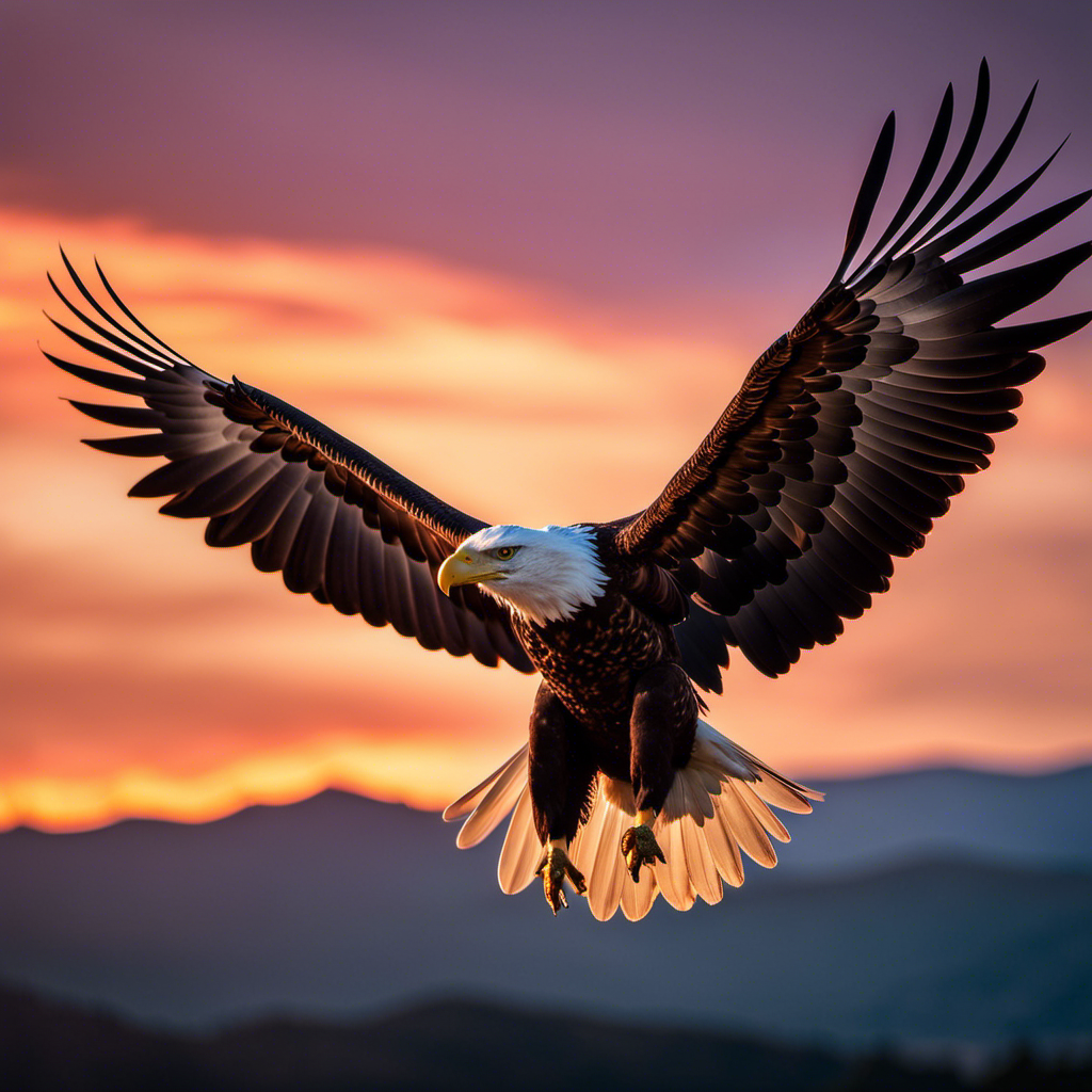 An image with a solitary eagle gracefully gliding through a vibrant sunset sky, its outstretched wings spreading majestically, symbolizing the figurative meaning of soaring