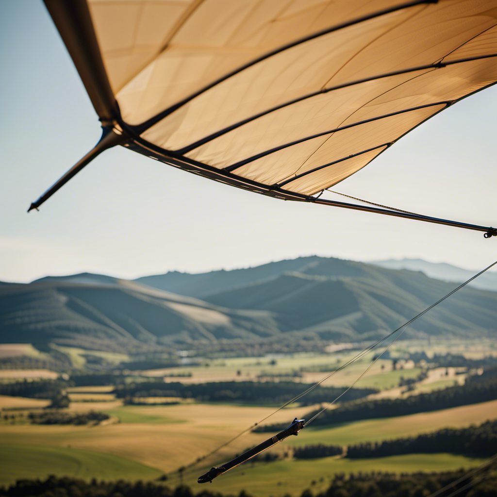 An image showcasing the intricate structure of a hang glider's wing area