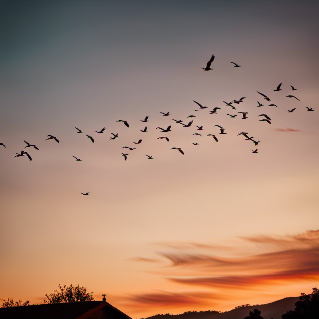 An image showcasing a vibrant, boundless sky at dusk, with a flock of majestic, soaring birds painted in hues of gold and crimson, evoking a sense of euphoria and liberation