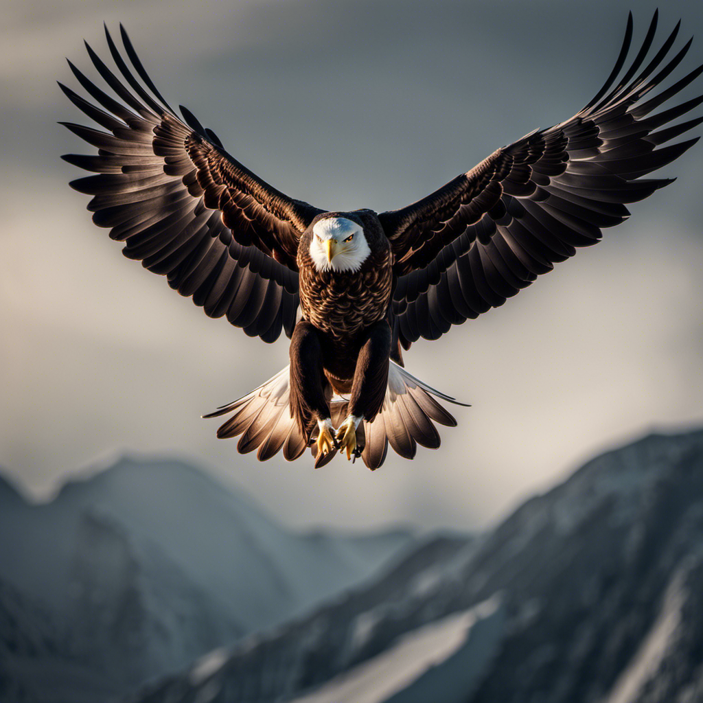 An image capturing the awe-inspiring moment when a majestic eagle gracefully turns mid-flight