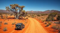 outback australia route planning
