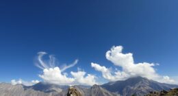 real time thermal differentiation