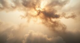 smoke affects thermal currents