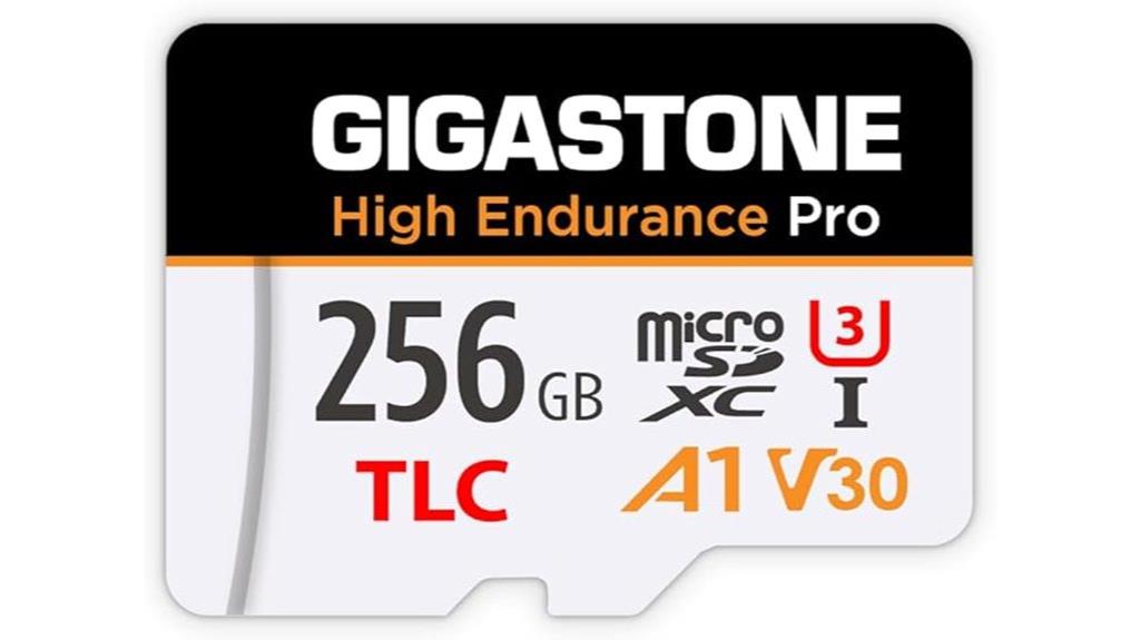 256gb micro sd card