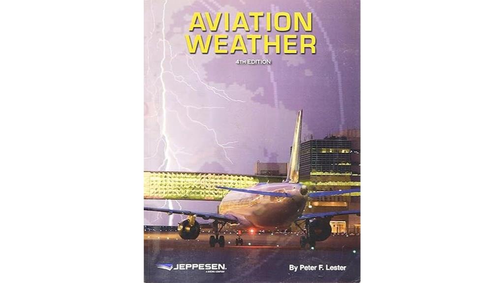 aviation weather information provider