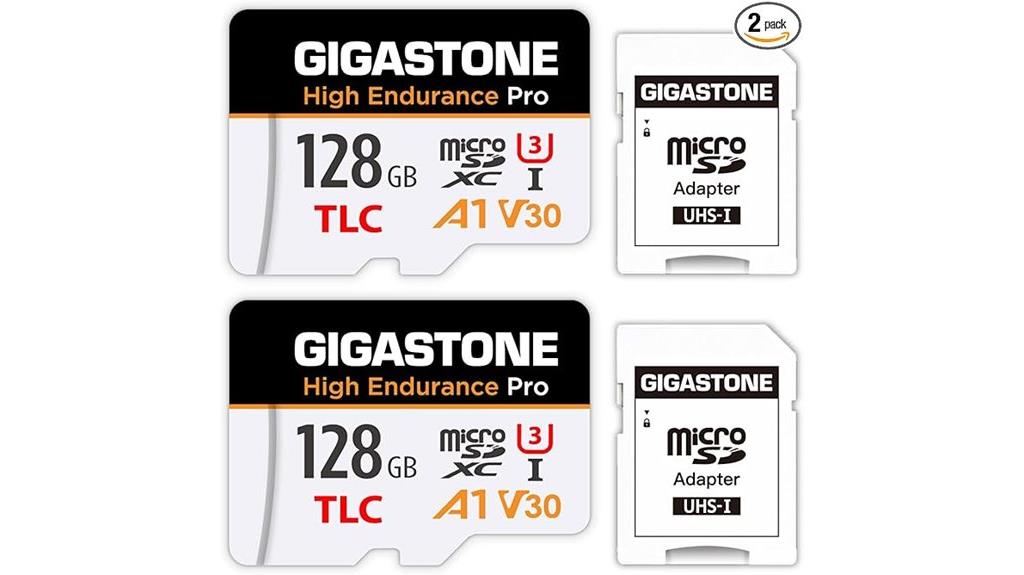 dual 128gb sd cards