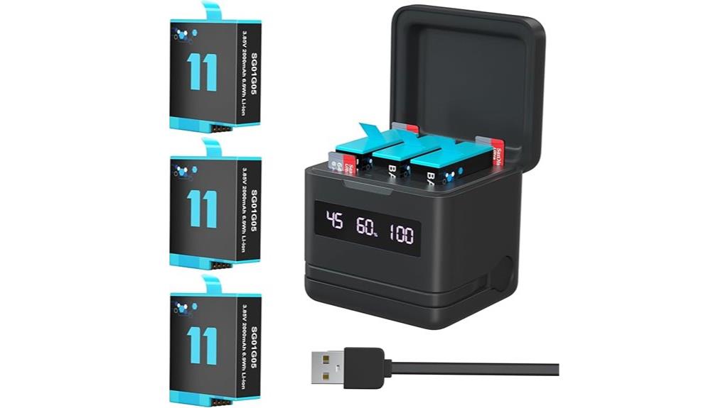 hero batteries with charger