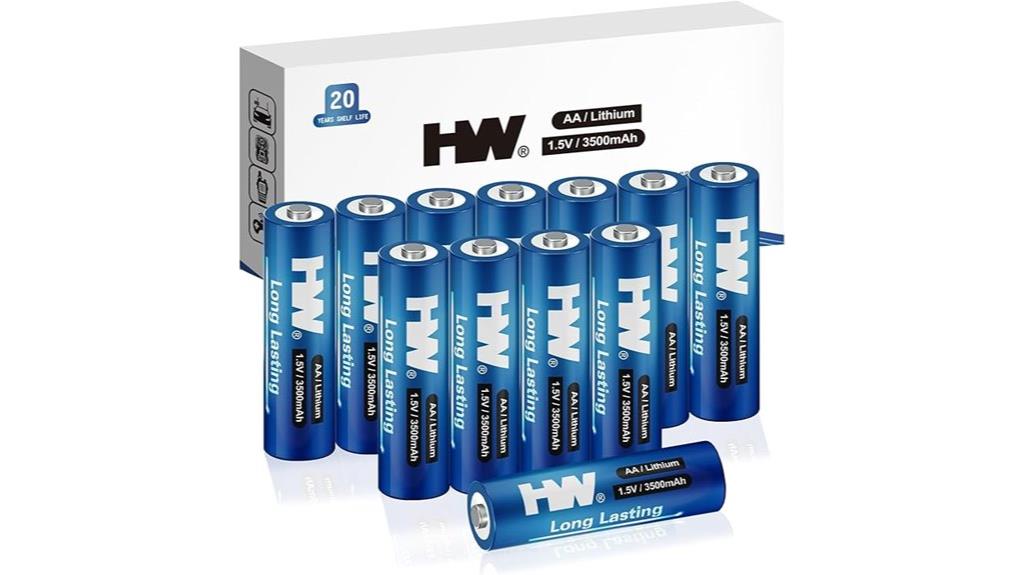 high capacity aa batteries