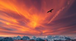 climate change affects soaring