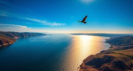 south africa gariep dam soaring