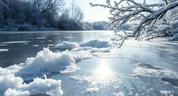 winter frost and ice safety