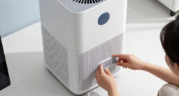 10 Best Air Purifier For Office Large Room In 2026