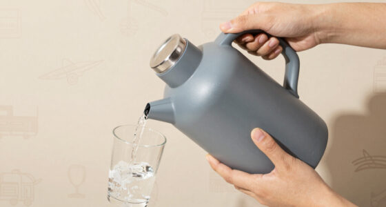 12 Best Insulated Water Jug Large in 2026
