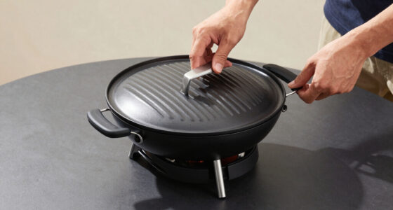 7 Best Portable Grill Premium in 2026