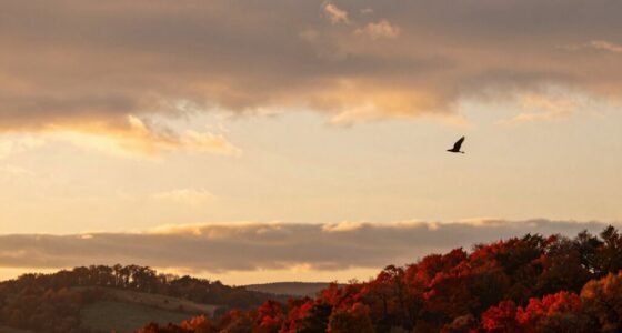 autumn s underrated soaring days