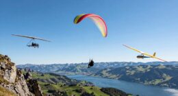 comparing flight sport options