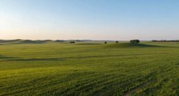 flatland sites offer accessible training
