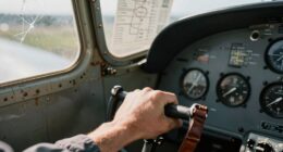 optimal decision timing strategy