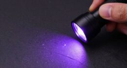 uv light for inspections