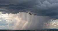 virga s impact on gliding
