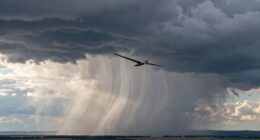 virga s impact on gliding