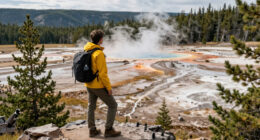 Yellowstone National Park Surges In Global Coverage