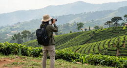 Doi Mae Salong, Chiang Rai, Thailand Surges In Global Coverage
