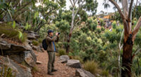 Nattai National Park, New South Wales, Australia Surges In Global Coverage