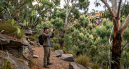 Nattai National Park, New South Wales, Australia Surges In Global Coverage